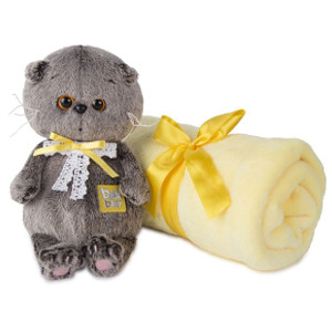 Кот Басик BABY в комплекте с детским пледом BB-008 (20 см)